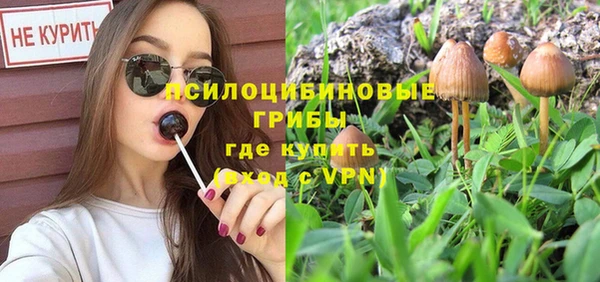 a pvp Алексин
