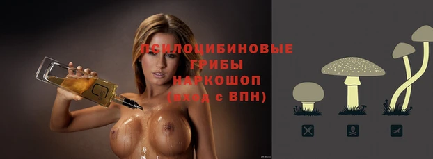 a pvp Алексин
